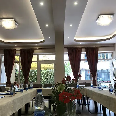 Palma Tirana
